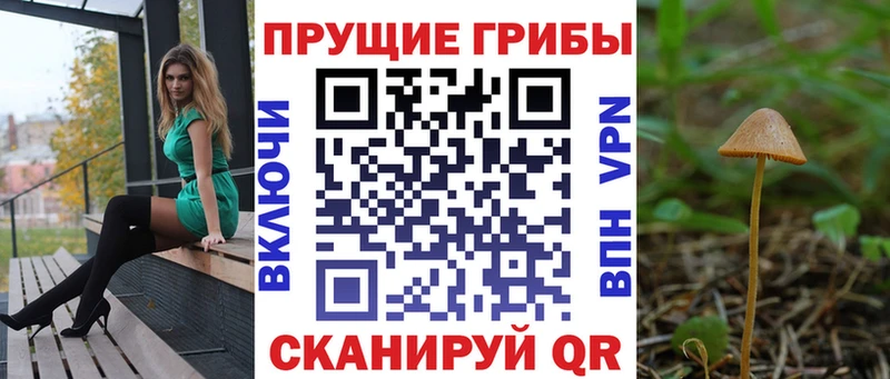Псилоцибиновые грибы мухоморы  omg ССЫЛКА  Красновишерск 